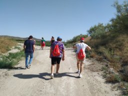IMG_20200625_104447